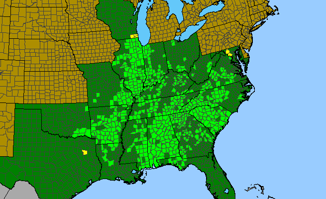 The range of Phlox glaberrima